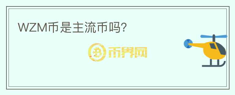 WZM币是主流币吗？