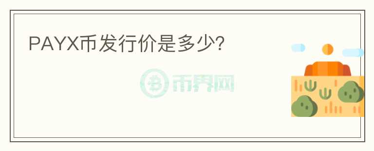 PAYX币发行价是多少?
