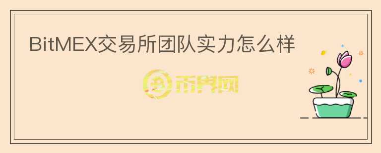 BitMEX交易所团队实力怎么样
