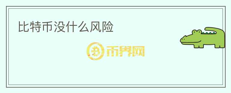 比特币没什么风险