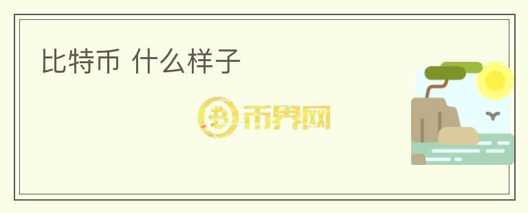 比特币 什么样子