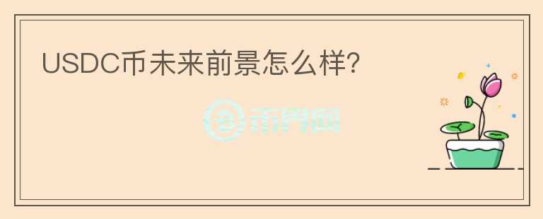 USDC币未来前景怎么样？