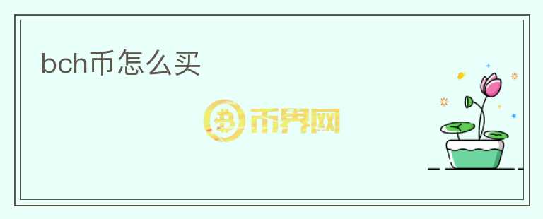 bch币怎么买