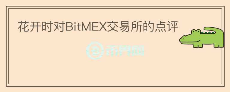 花开时对BitMEX交易所的点评