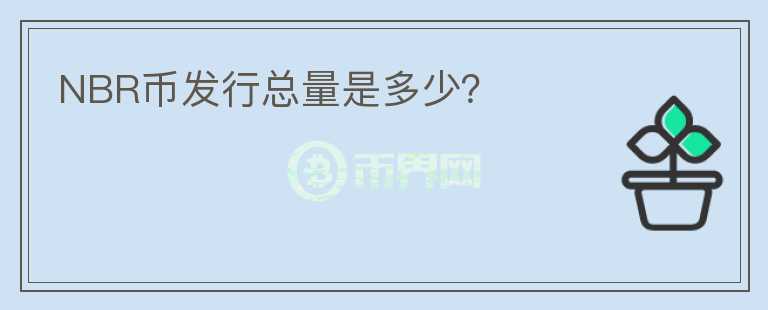 NBR币发行总量是多少？