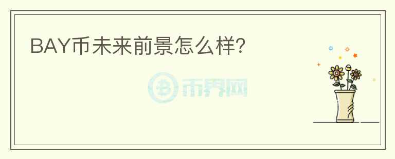 BAY币未来前景怎么样?