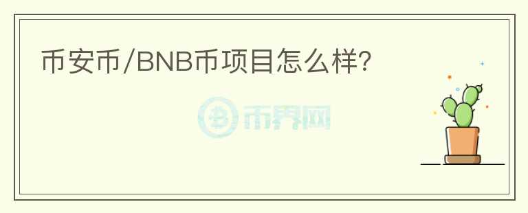 币安币/BNB币项目怎么样？