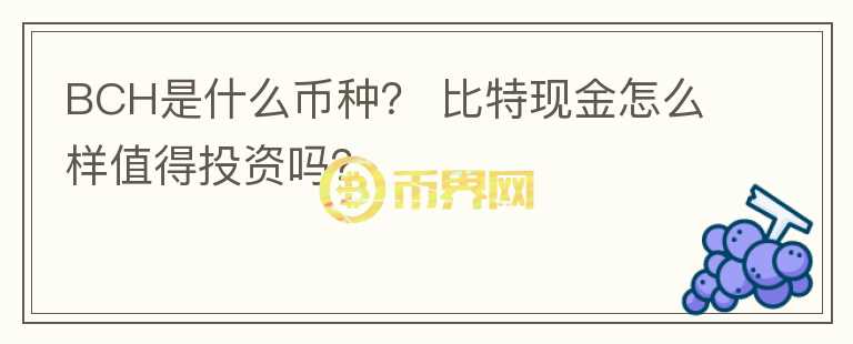 BCH是什么币种？ 比特现金怎么样值得投资吗？