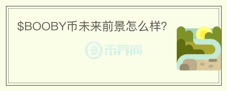 $BOOBY币未来前景怎么样？