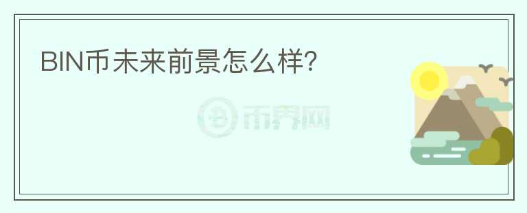 BIN币未来前景怎么样？