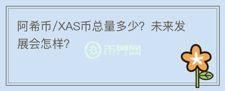 阿希币/XAS币总量多少？未来发展会怎样？