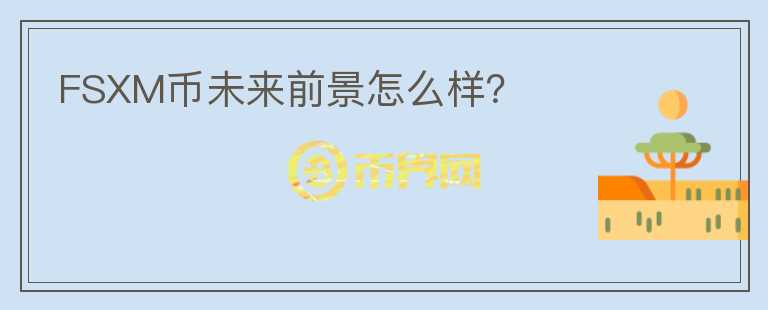 FSXM币未来前景怎么样？