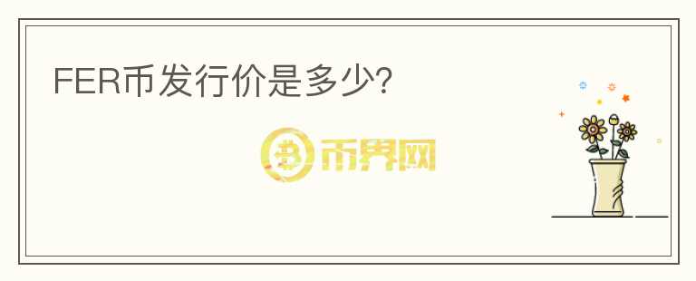 FER币发行价是多少？