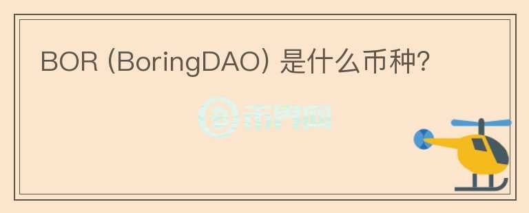 BOR (BoringDAO) 是什么币种?