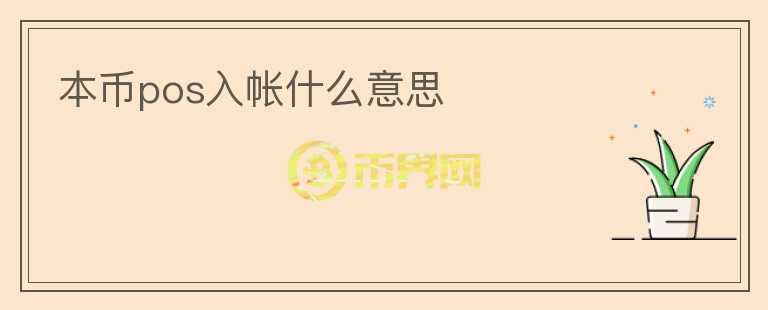 本币pos入帐什么意思