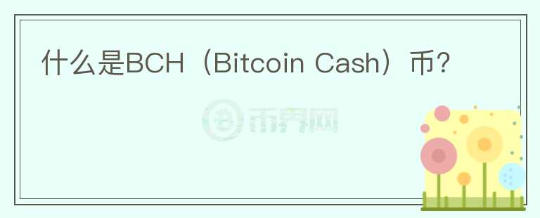 什么是BCH（Bitcoin Cash）币？