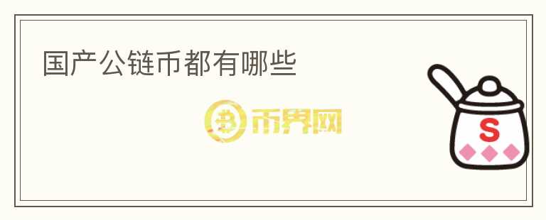国产公链币都有哪些