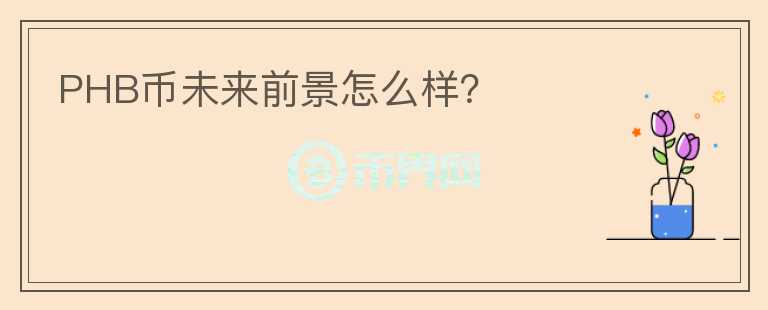 PHB币未来前景怎么样？