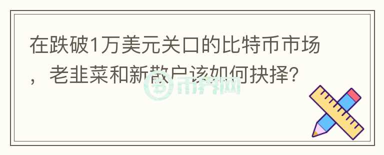 在跌破1万美元关口的比特币市场，老韭菜和新散户该如何抉择？