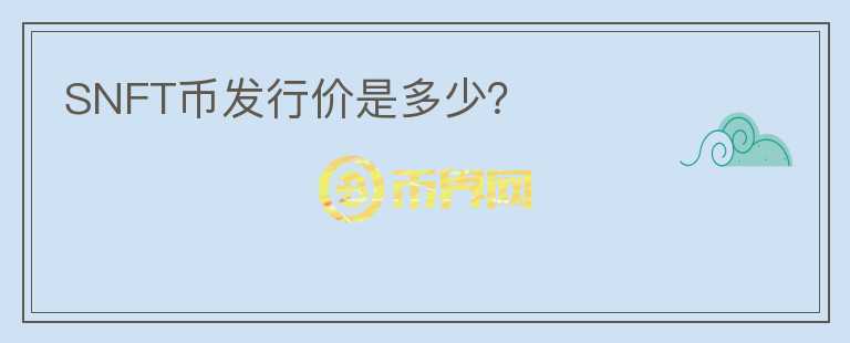 SNFT币发行价是多少？