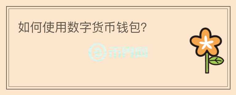 如何使用数字货币钱包?