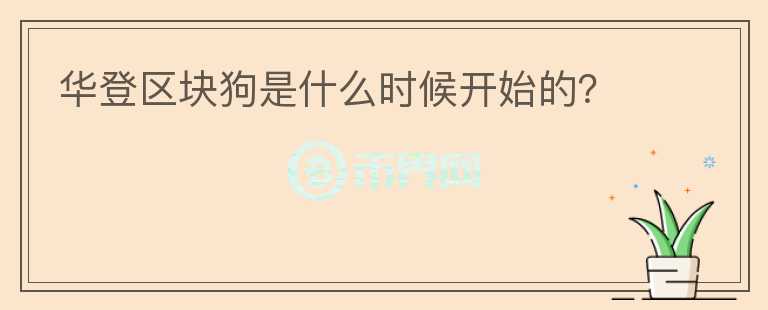 华登区块狗是什么时候开始的？