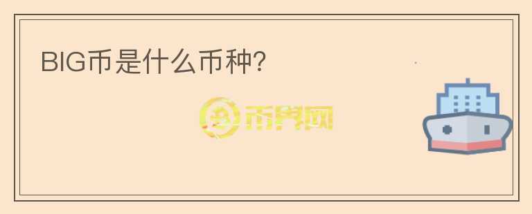 BIG币是什么币种？
