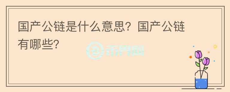 国产公链是什么意思？国产公链有哪些？