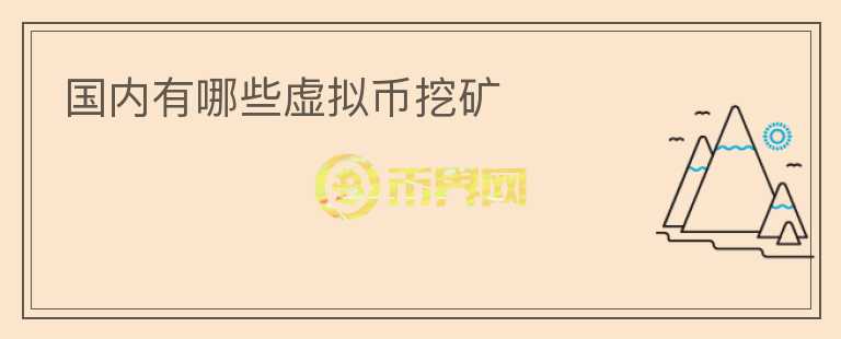 国内有哪些虚拟币挖矿