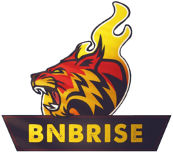 BNBRise